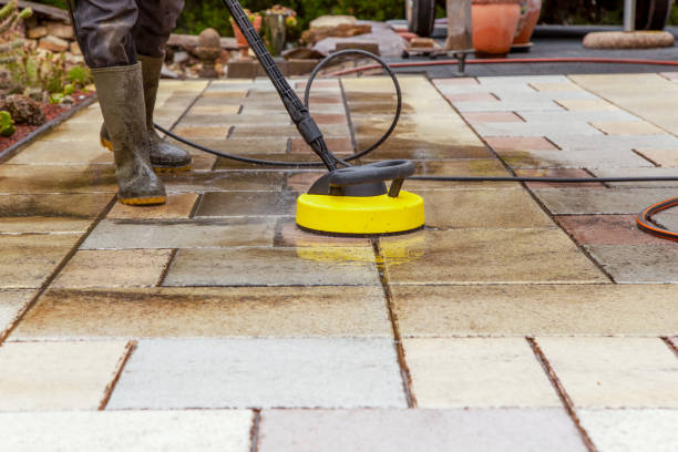 Best Pool Deck Cleaning in Hector, MN