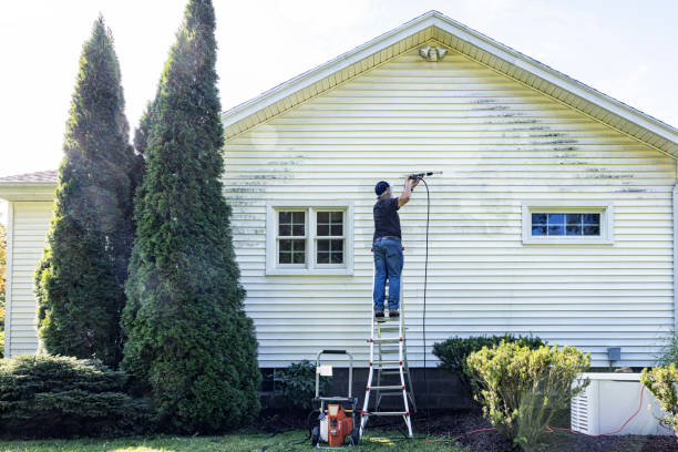 Best Residential Pressure Washing in Hector, MN