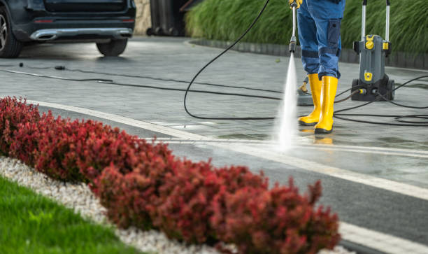Best Vinyl Siding Pressure Washing in Hector, MN